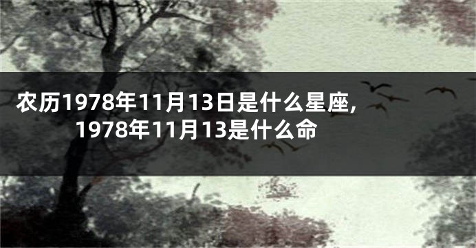 农历1978年11月13日是什么星座,1978年11月13是什么命