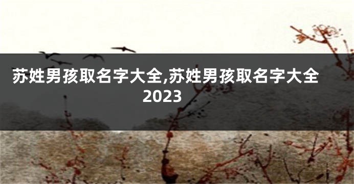 苏姓男孩取名字大全,苏姓男孩取名字大全2023