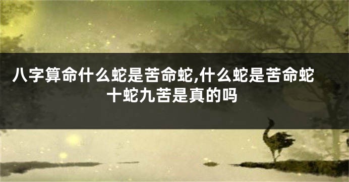 八字算命什么蛇是苦命蛇,什么蛇是苦命蛇十蛇九苦是真的吗