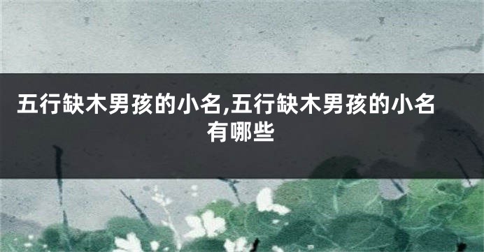 五行缺木男孩的小名,五行缺木男孩的小名有哪些