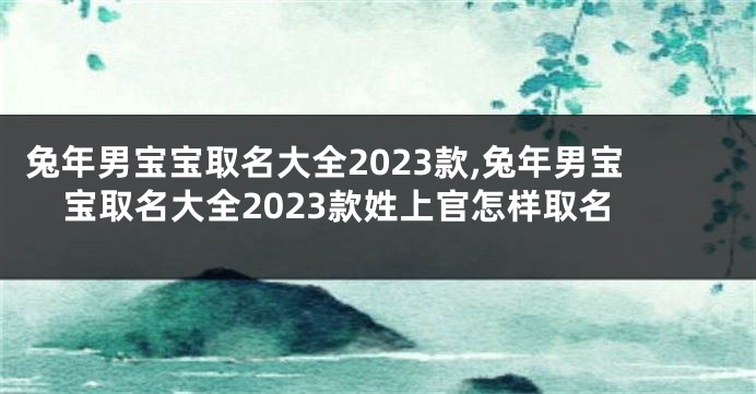 兔年男宝宝取名大全2023款,兔年男宝宝取名大全2023款姓上官怎样取名