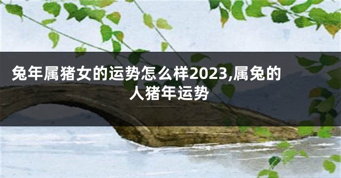 兔年属猪女的运势怎么样2023,属兔的人猪年运势