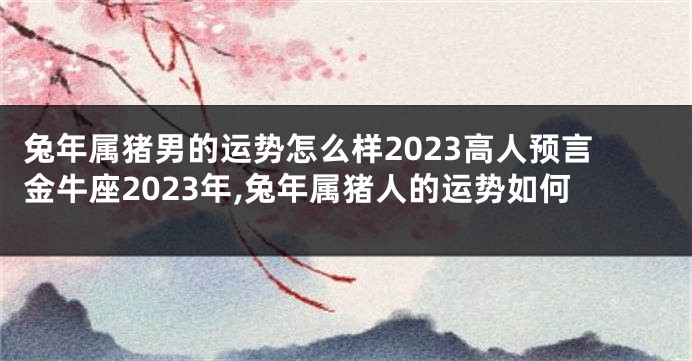 兔年属猪男的运势怎么样2023高人预言金牛座2023年,兔年属猪人的运势如何