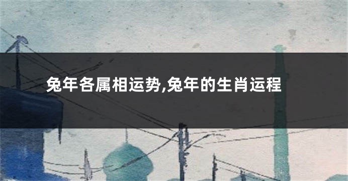 兔年各属相运势,兔年的生肖运程