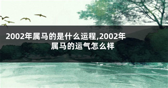 2002年属马的是什么运程,2002年属马的运气怎么样