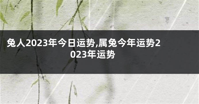 兔人2023年今日运势,属兔今年运势2023年运势