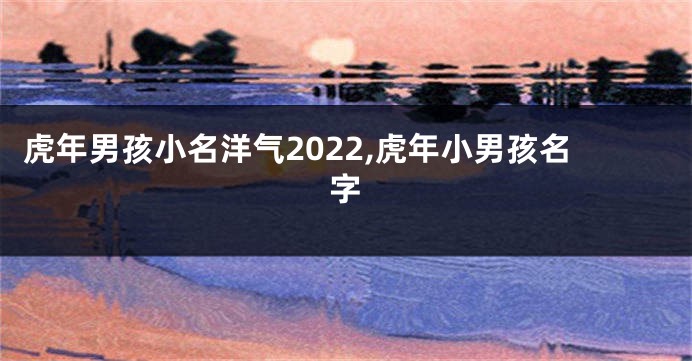 虎年男孩小名洋气2022,虎年小男孩名字