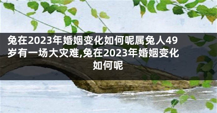 兔在2023年婚姻变化如何呢属兔人49岁有一场大灾难,兔在2023年婚姻变化如何呢