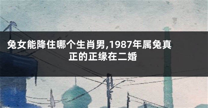 兔女能降住哪个生肖男,1987年属兔真正的正缘在二婚