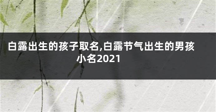 白露出生的孩子取名,白露节气出生的男孩小名2021
