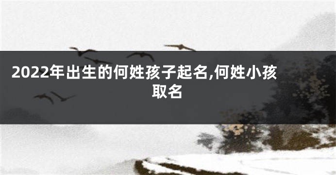 2022年出生的何姓孩子起名,何姓小孩取名