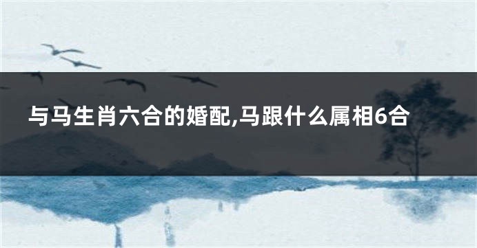 与马生肖六合的婚配,马跟什么属相6合