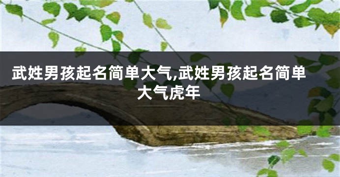 武姓男孩起名简单大气,武姓男孩起名简单大气虎年