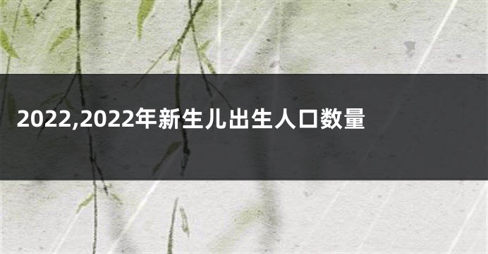 2022,2022年新生儿出生人口数量