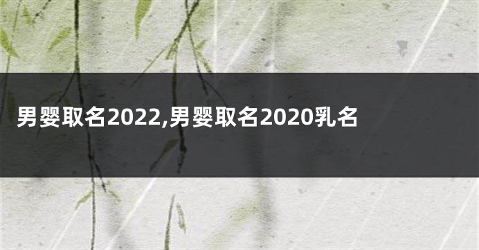 男婴取名2022,男婴取名2020乳名