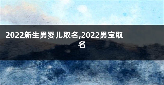 2022新生男婴儿取名,2022男宝取名