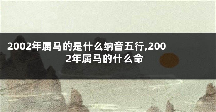 2002年属马的是什么纳音五行,2002年属马的什么命