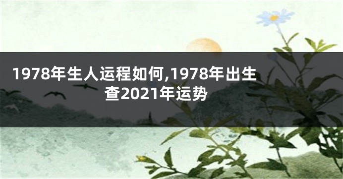 1978年生人运程如何,1978年出生查2021年运势