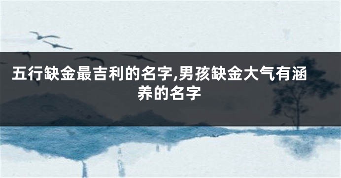 五行缺金最吉利的名字,男孩缺金大气有涵养的名字