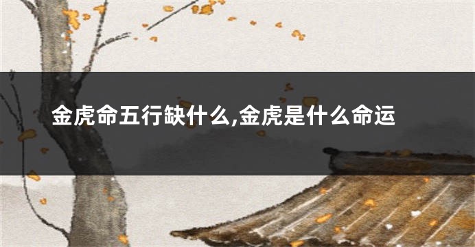 金虎命五行缺什么,金虎是什么命运