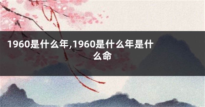 1960是什么年,1960是什么年是什么命