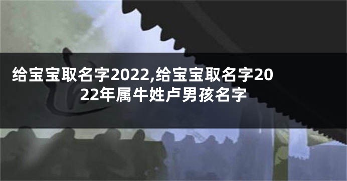 给宝宝取名字2022,给宝宝取名字2022年属牛姓卢男孩名字