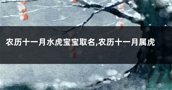 农历十一月水虎宝宝取名,农历十一月属虎