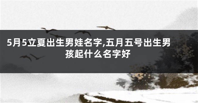 5月5立夏出生男娃名字,五月五号出生男孩起什么名字好
