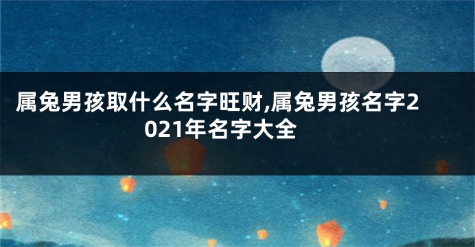 属兔男孩取什么名字旺财,属兔男孩名字2021年名字大全