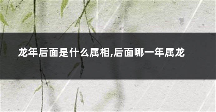 龙年后面是什么属相,后面哪一年属龙