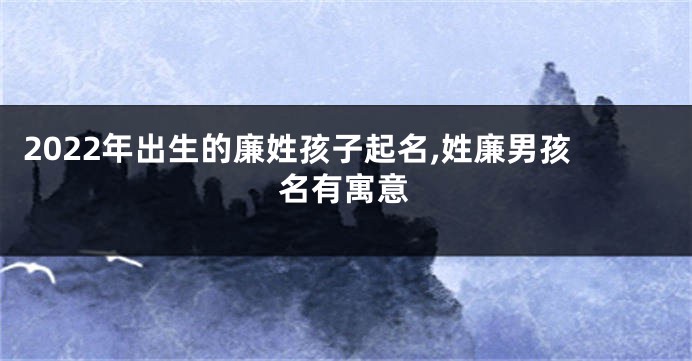 2022年出生的廉姓孩子起名,姓廉男孩名有寓意