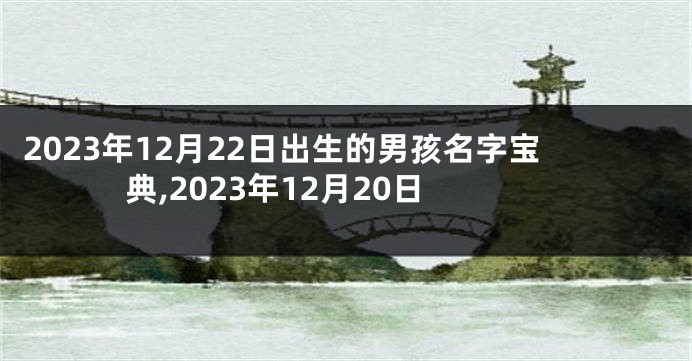 2023年12月22日出生的男孩名字宝典,2023年12月20日