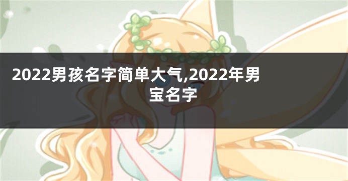 2022男孩名字简单大气,2022年男宝名字