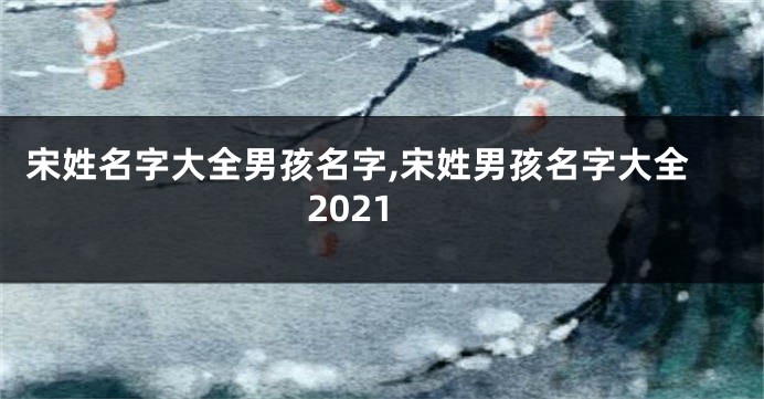 宋姓名字大全男孩名字,宋姓男孩名字大全2021