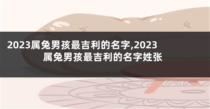 2023属兔男孩最吉利的名字,2023属兔男孩最吉利的名字姓张