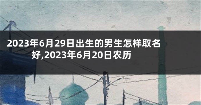 2023年6月29日出生的男生怎样取名好,2023年6月20日农历