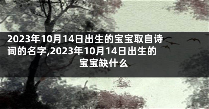 2023年10月14日出生的宝宝取自诗词的名字,2023年10月14日出生的宝宝缺什么