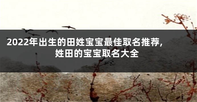 2022年出生的田姓宝宝最佳取名推荐,姓田的宝宝取名大全