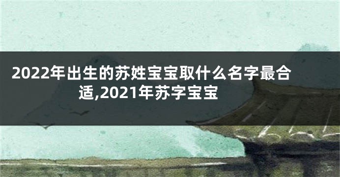 2022年出生的苏姓宝宝取什么名字最合适,2021年苏字宝宝