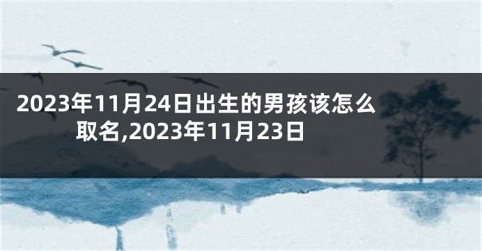 2023年11月24日出生的男孩该怎么取名,2023年11月23日