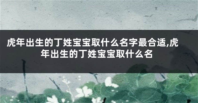 虎年出生的丁姓宝宝取什么名字最合适,虎年出生的丁姓宝宝取什么名