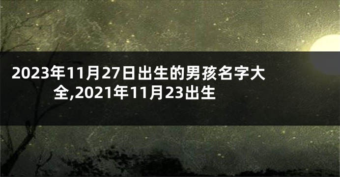 2023年11月27日出生的男孩名字大全,2021年11月23出生