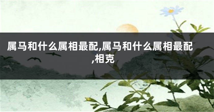 属马和什么属相最配,属马和什么属相最配,相克