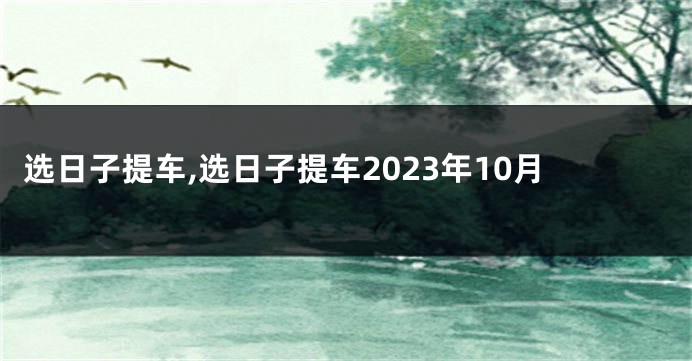 选日子提车,选日子提车2023年10月