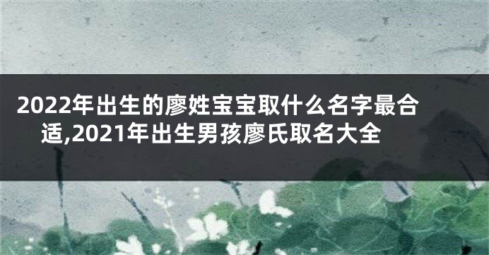 2022年出生的廖姓宝宝取什么名字最合适,2021年出生男孩廖氏取名大全