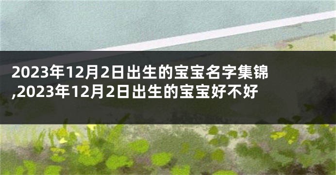 2023年12月2日出生的宝宝名字集锦,2023年12月2日出生的宝宝好不好