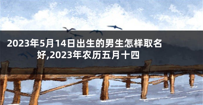 2023年5月14日出生的男生怎样取名好,2023年农历五月十四