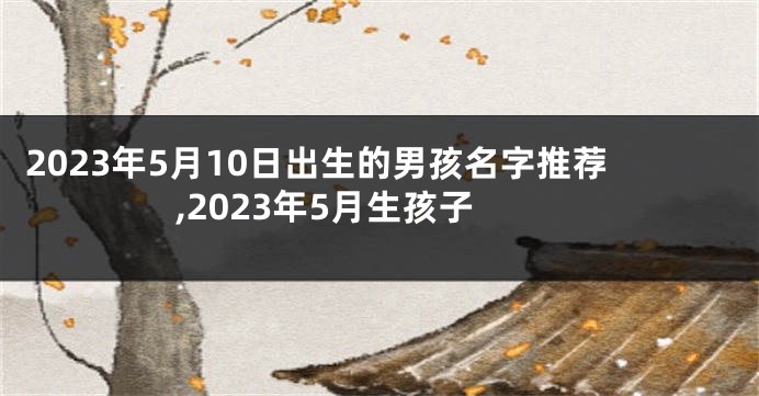 2023年5月10日出生的男孩名字推荐,2023年5月生孩子
