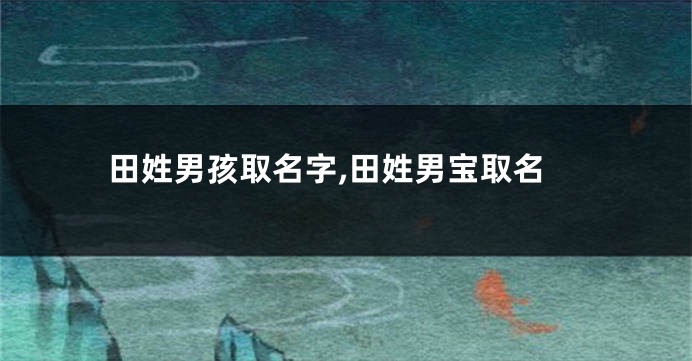 田姓男孩取名字,田姓男宝取名