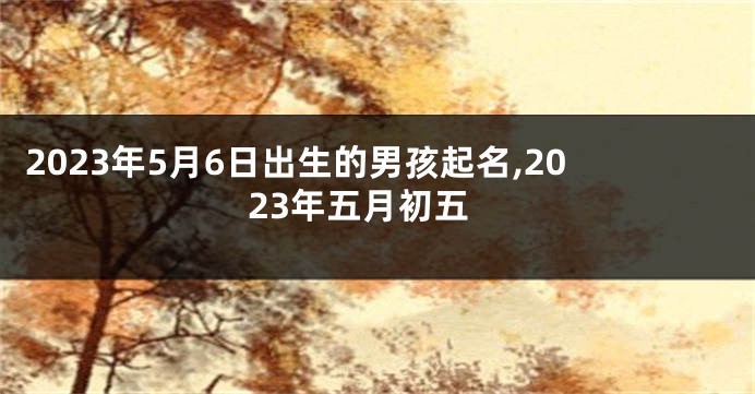 2023年5月6日出生的男孩起名,2023年五月初五